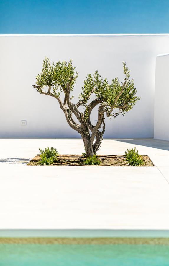 Petradia Villas Agia Anna  외부 사진